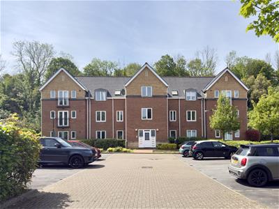 Picture 15